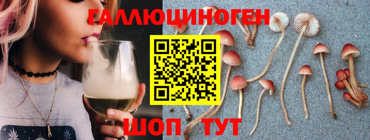 Галлюциногенные грибы прущие грибы Бугуруслан