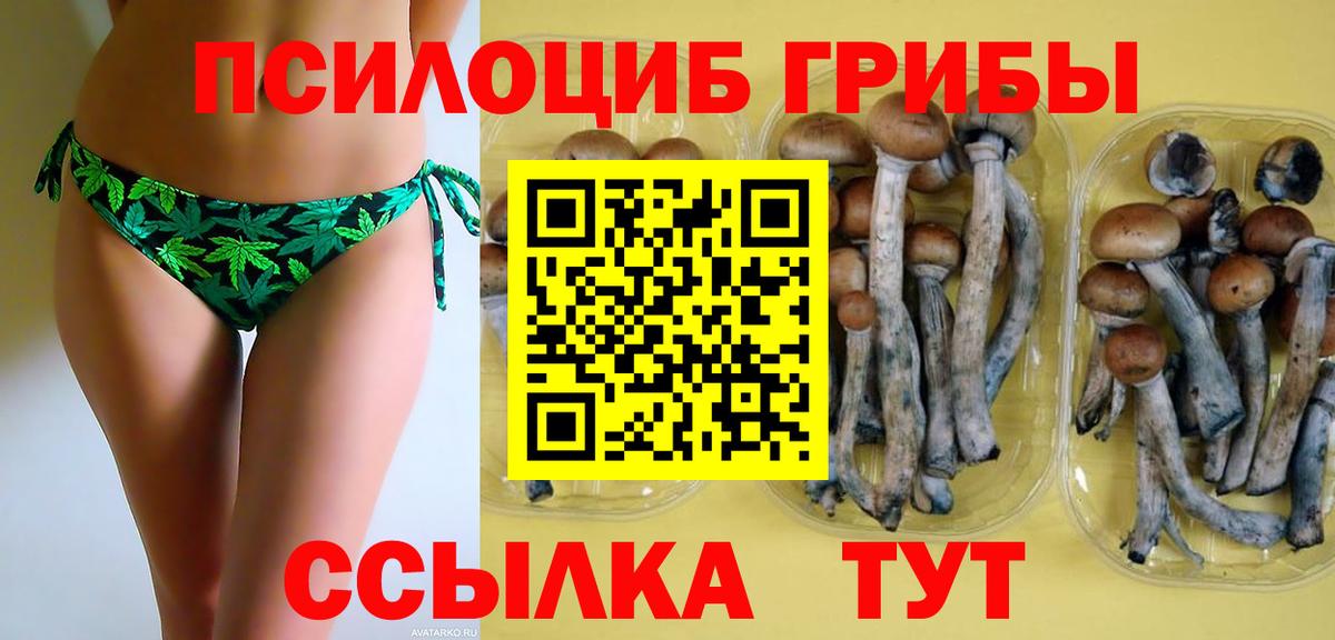 Галлюциногенные грибы GOLDEN TEACHER  Вход с VPN  Бугуруслан  Галлюциногенные грибы ЛСД 